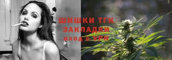 хмурый Арсеньев