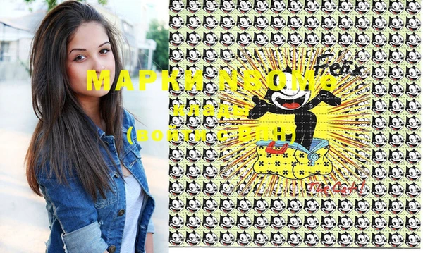 хмурый Арсеньев