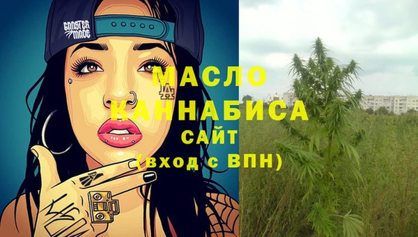 хмурый Арсеньев