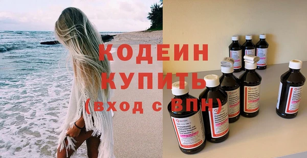 хмурый Арсеньев